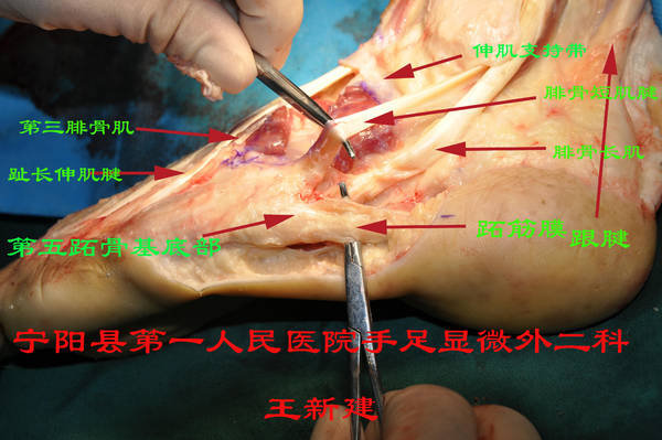 DSC_0388_爱奇艺.jpg