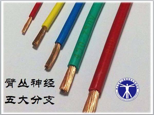 mmexport1530379619044.jpg