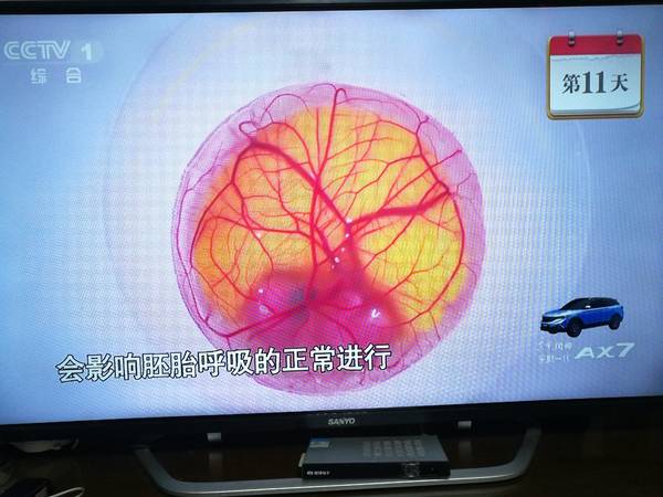 微信图片_20180815231956.jpg