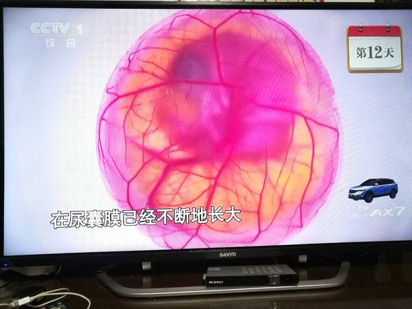 微信图片_20180815232003.jpg