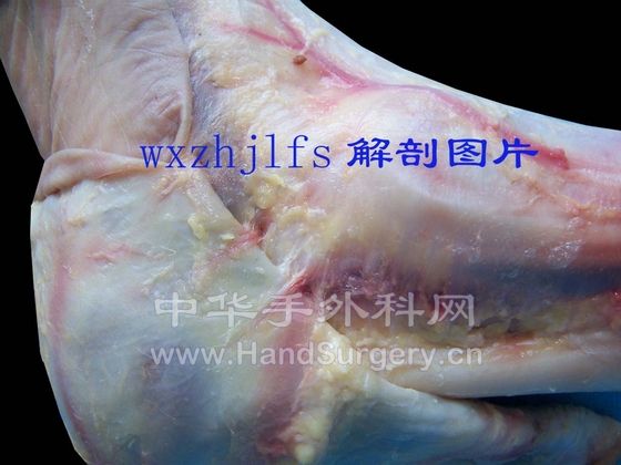 100_5655副.JPG