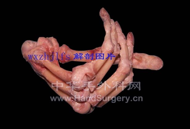 100_3003副.JPG