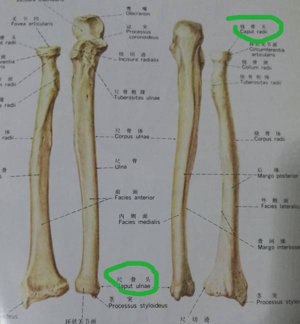 微信图片_20190105213858.jpg