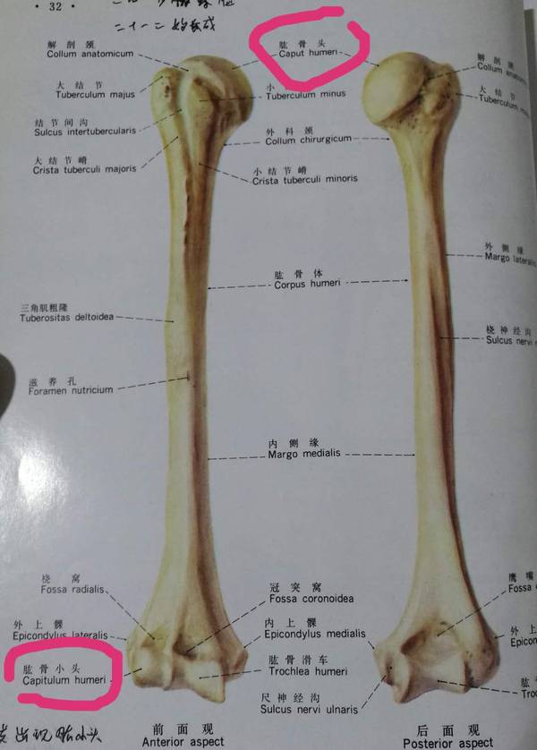 微信图片_20190105213905.jpg