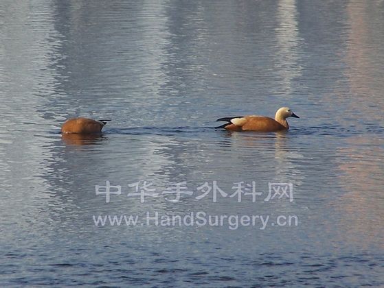100_2616.JPG