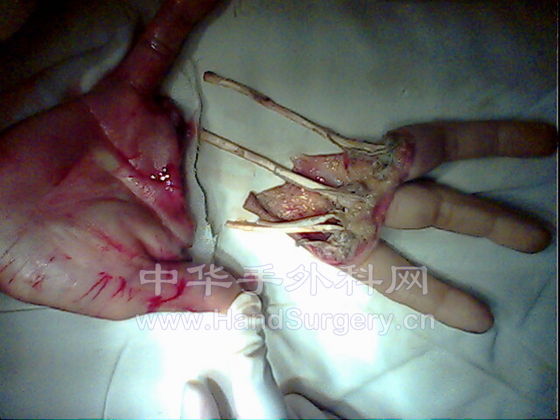 IMG0238A.jpg