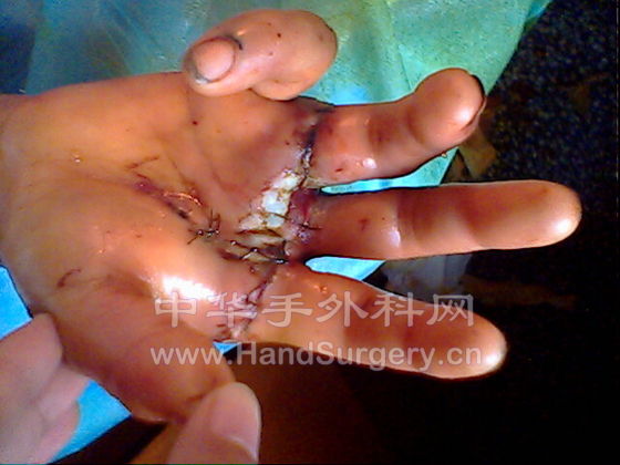 IMG0245A.jpg
