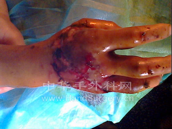 IMG0246A.jpg