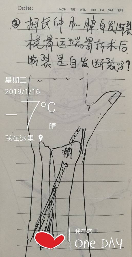IMG_20190116_101426.jpg