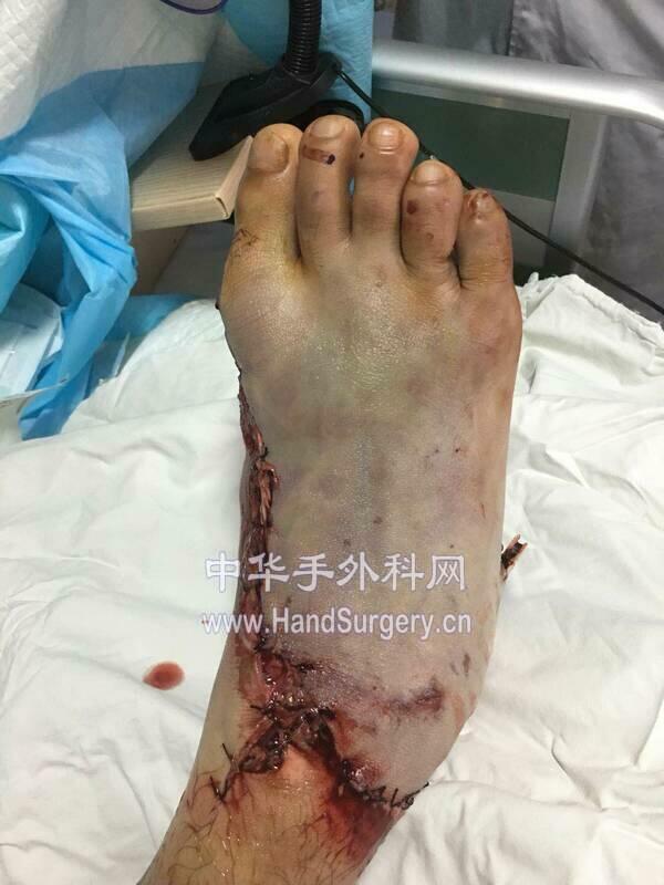 微信图片_20180204181936.jpg
