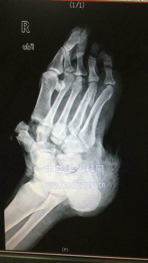 微信图片_20180204182040.jpg