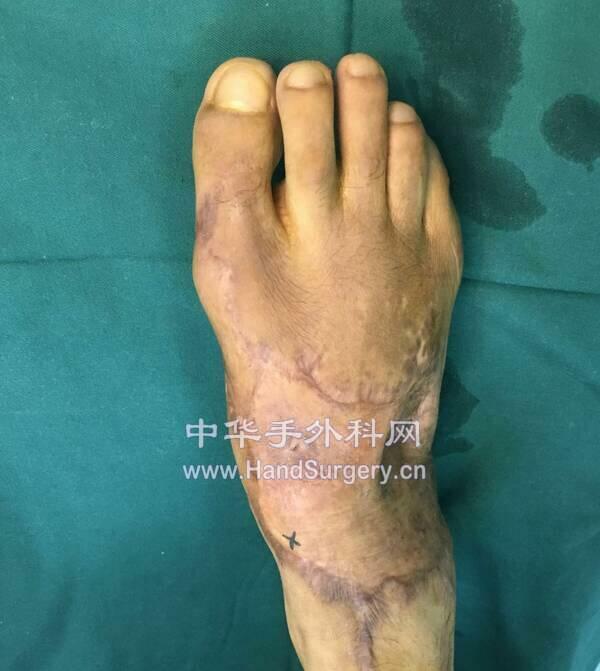 微信图片_20190212202012.jpg