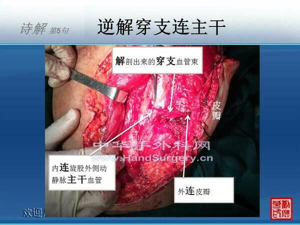 幻灯片11.JPG