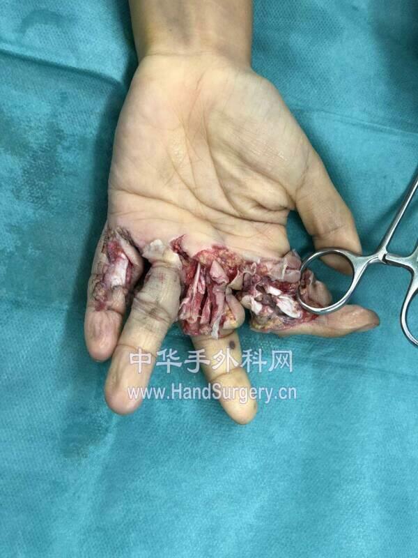 微信图片_20190215211511.jpg