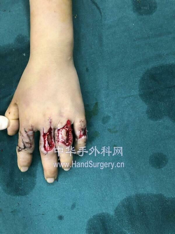 微信图片_20190215212135.jpg