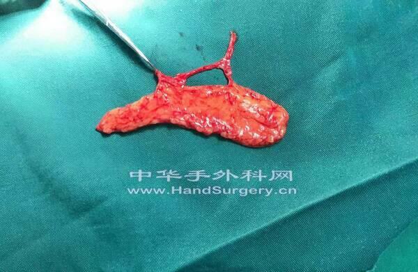 微信图片_201903191305093.jpg