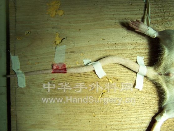 100_4155.JPG