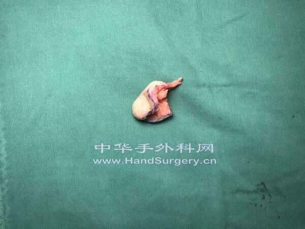 微信图片_201904161106333.jpg