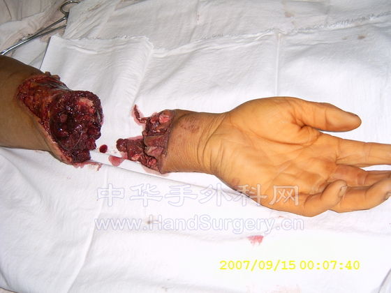 SUC30409.JPG