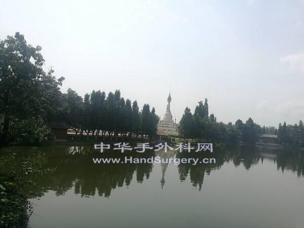 IMG_20190819_114518.jpg