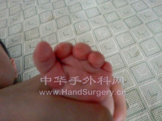 PIC-0115.jpg