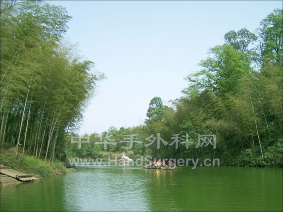 bamboo015.jpg