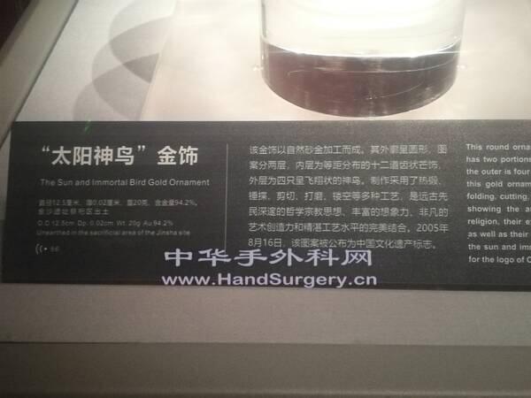 IMG_20191101_173244.jpg