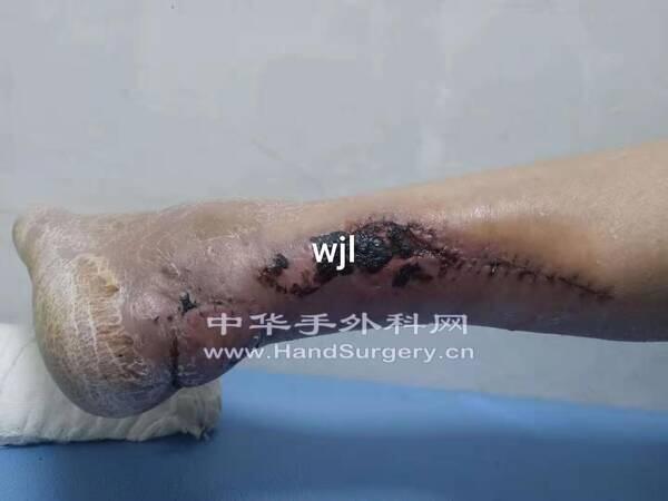 微信图片_20191107104459.jpg