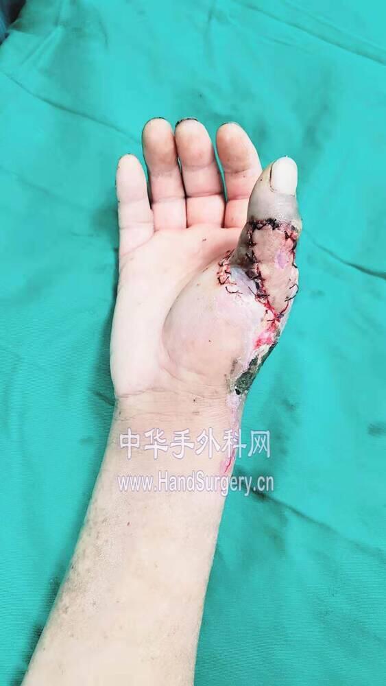 微信图片_20191107110132.jpg