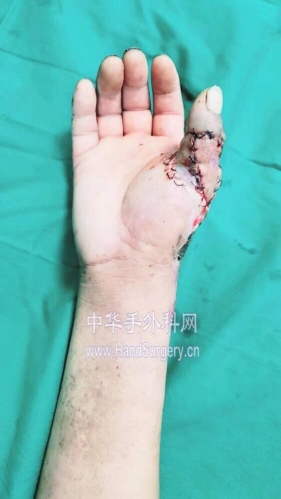 微信图片_20191107110136.jpg