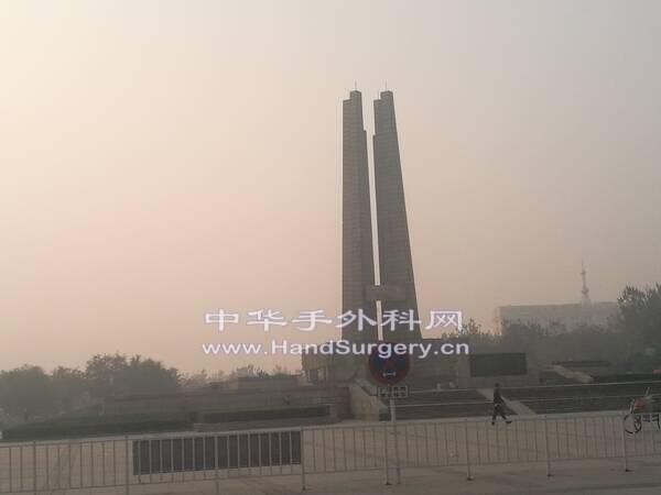 IMG_20191109_084607.jpg
