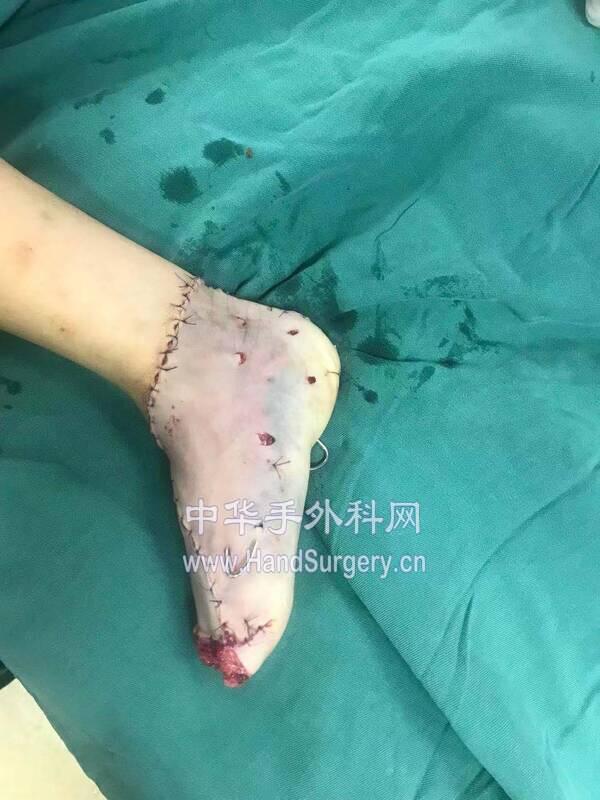 微信图片_201912311213515.jpg