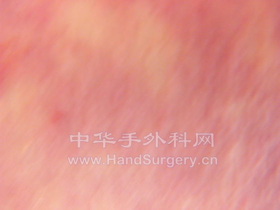 DSCF0222.JPG