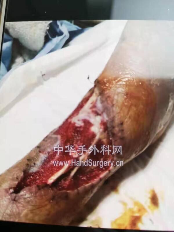 微信图片_20200205145618.jpg
