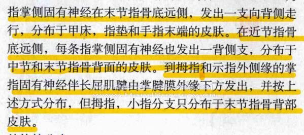 格式解剖学.png