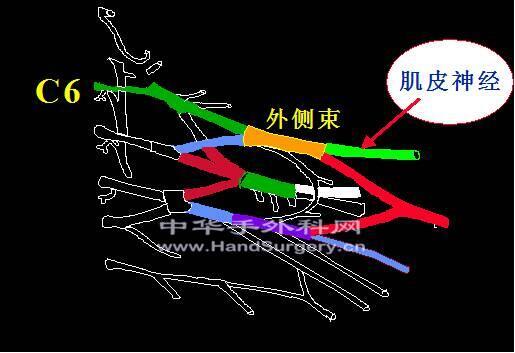 微信图片_20200302190827.png