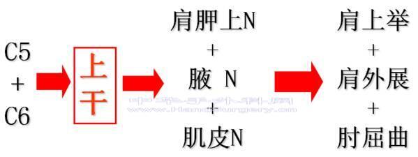 微信图片_20200302191226.png