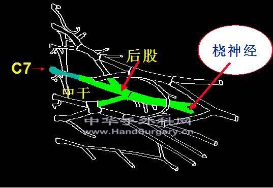 微信图片_20200302194303.png