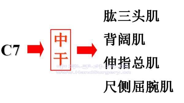 微信图片_20200302194230.png