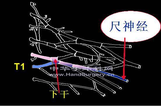 微信图片_20200302195147.png