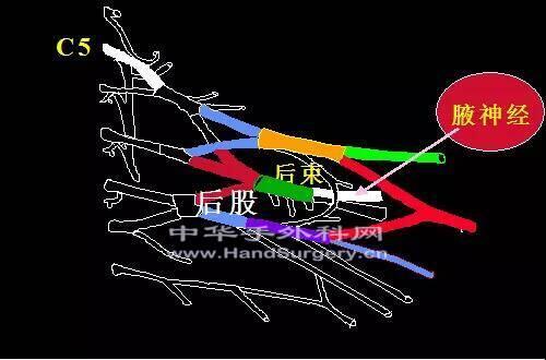 微信图片_20200302190739.jpg