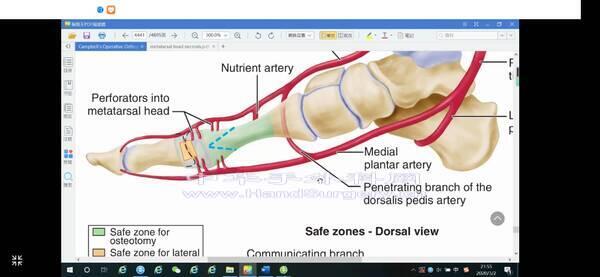 Screenshot_20200302_215152_com.camicrosurgeon.yyh.jpg
