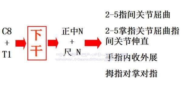 微信图片_20200302195233.png