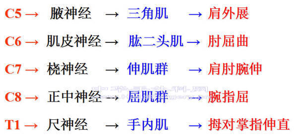 微信图片_20200302195324.jpg
