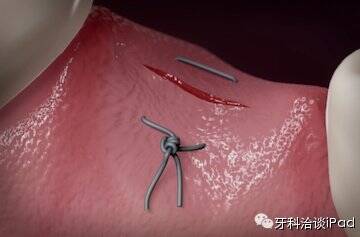 145054D57-11.jpg
