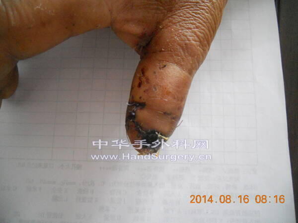 DSCN1743.jpg
