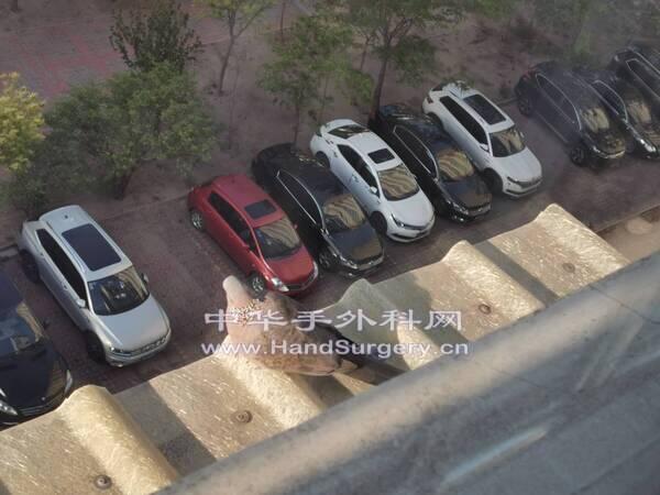 微信图片_20200429003913.jpg