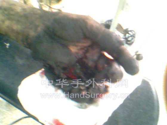 IMG0566A.jpg