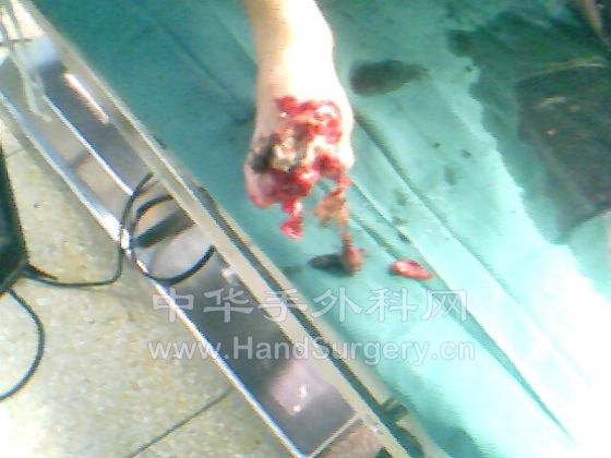 IMG0567A.jpg