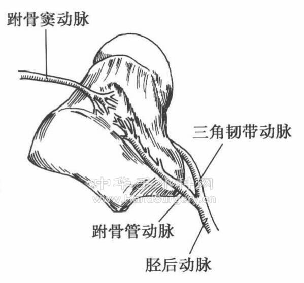 微信图片_20200512000238.png